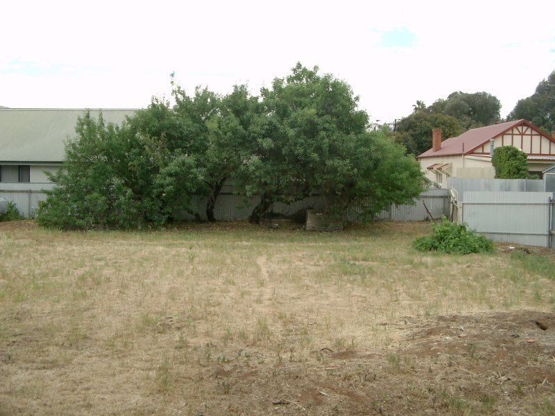 25 Everett Avenue DULWICH 5065