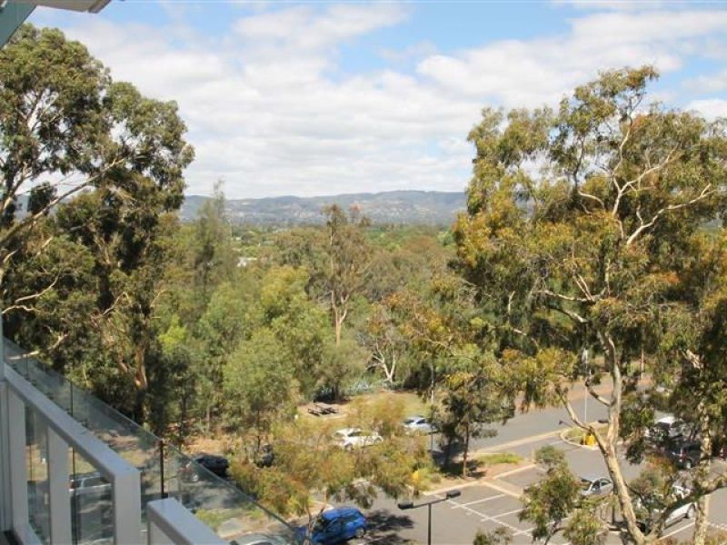 33 Warwick St WALKERVILLE 5081